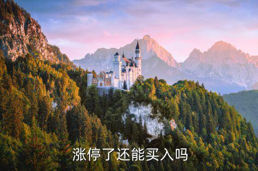  漲停了還能買(mǎi)入嗎