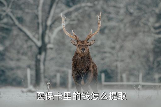  醫(yī)?？ɡ锏腻X怎么提取
