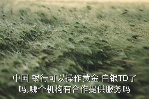 中國 銀行可以操作黃金 白銀TD了嗎,哪個機構有合作提供服務嗎