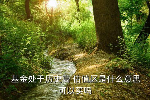 基金估值風(fēng)險點(diǎn)