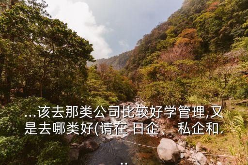 ...該去那類公司比較好學(xué)管理,又是去哪類好(請在 日企、 私企和...