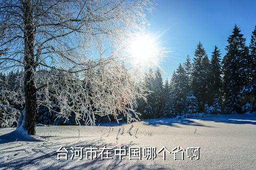 臺(tái)河市在中國哪個(gè)省啊