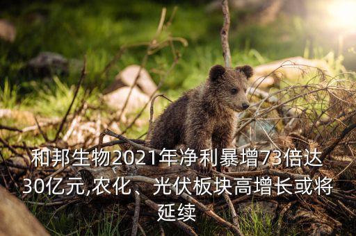 和邦生物2021年凈利暴增73倍達(dá)30億元,農(nóng)化、光伏板塊高增長(zhǎng)或?qū)⒀永m(xù)