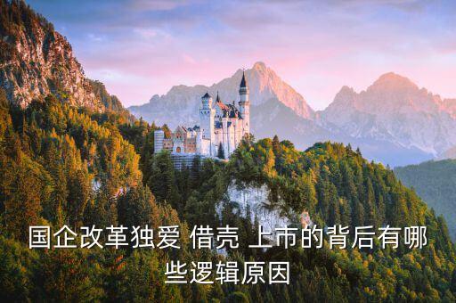 國資委公司借殼上市,深國資委還有哪些優(yōu)質資產(chǎn)要借殼上市