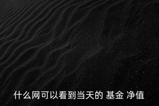 什么網可以看到當天的 基金 凈值