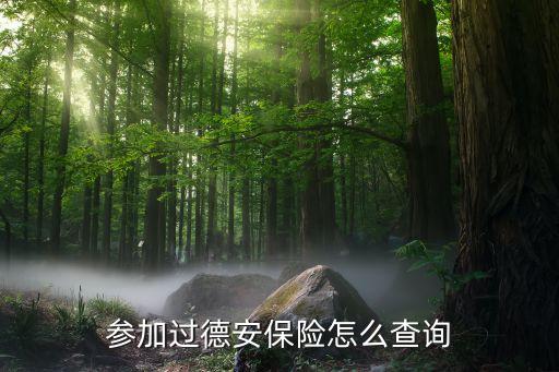 參加過(guò)德安保險(xiǎn)怎么查詢(xún)