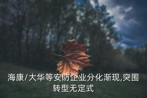 ?？?大華等安防企業(yè)分化漸現(xiàn),突圍轉(zhuǎn)型無定式