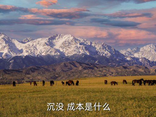  沉沒(méi) 成本是什么