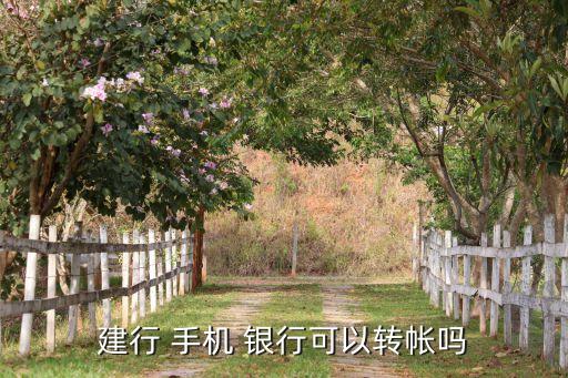 建行 手機 銀行可以轉(zhuǎn)帳嗎