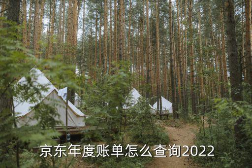  京東年度賬單怎么查詢(xún)2022