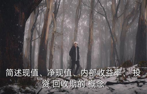 簡(jiǎn)述現(xiàn)值、凈現(xiàn)值、內(nèi)部收益率、 投資 回收期的 概念