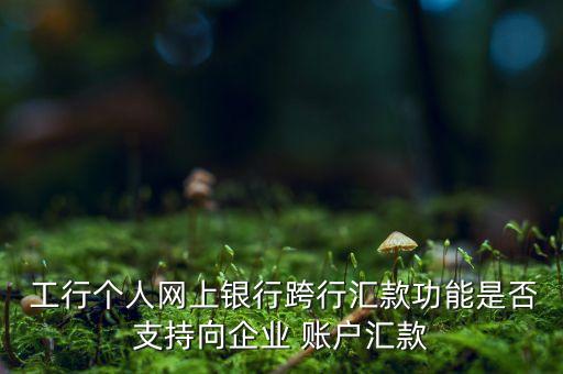 工行個(gè)人賬戶(hù)轉(zhuǎn)公司賬戶(hù),工行企業(yè)轉(zhuǎn)個(gè)人賬戶(hù)手續(xù)費(fèi)