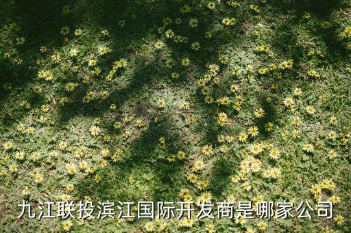 武漢中歐聯合投資集團,湖北省中歐聯合投資集團有限公司