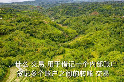 、什么 交易,用于借記一個(gè)內(nèi)部賬戶 貸記多個(gè)賬戶之間的轉(zhuǎn)賬 交易