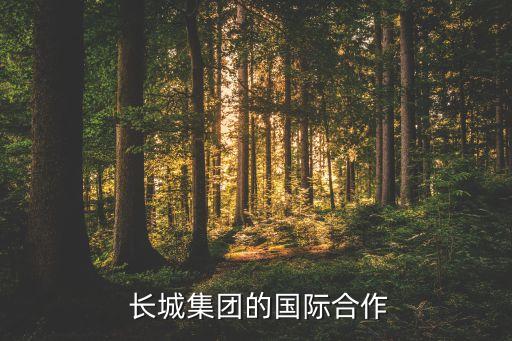  長(zhǎng)城集團(tuán)的國際合作