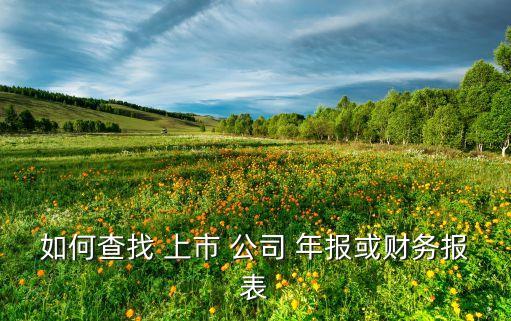 如何查找 上市 公司 年報或財(cái)務(wù)報表