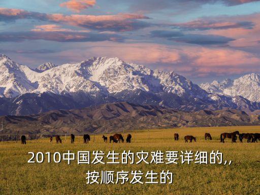 2010中國發(fā)生的災難要詳細的,,按順序發(fā)生的