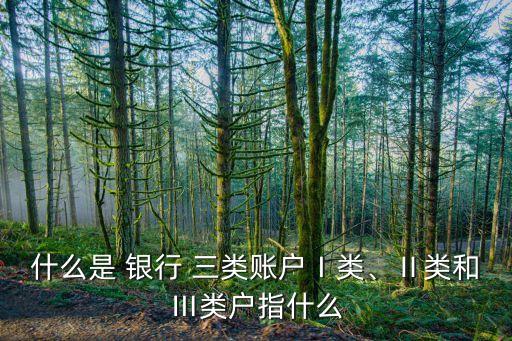 什么是 銀行 三類(lèi)賬戶(hù)Ⅰ類(lèi)、Ⅱ類(lèi)和Ⅲ類(lèi)戶(hù)指什么