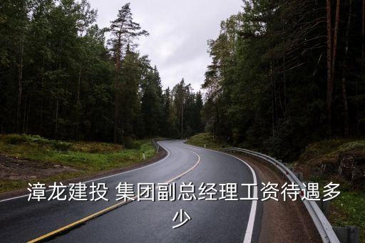  漳龍建投 集團(tuán)副總經(jīng)理工資待遇多少