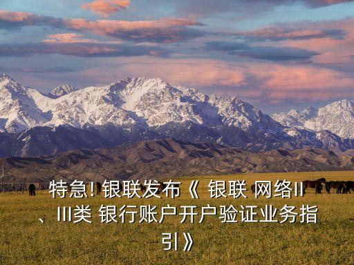 特急! 銀聯(lián)發(fā)布《 銀聯(lián) 網絡II、III類 銀行賬戶開戶驗證業(yè)務指引》