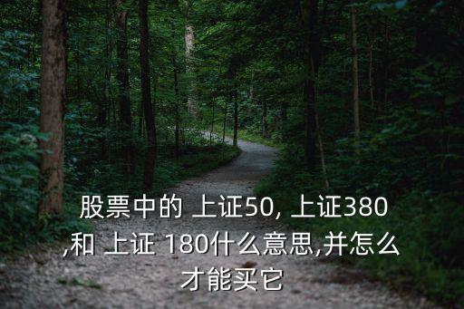  股票中的 上證50, 上證380,和 上證 180什么意思,并怎么才能買(mǎi)它