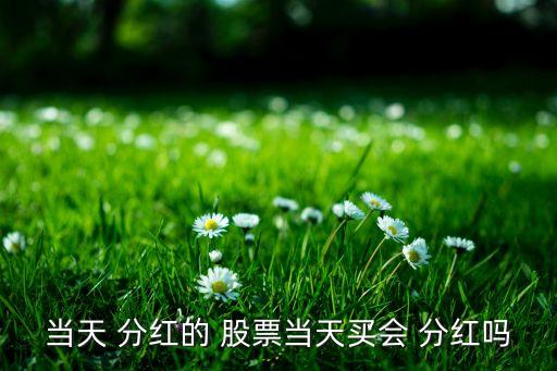 當(dāng)天 分紅的 股票當(dāng)天買會 分紅嗎