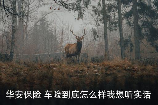 華安保險(xiǎn) 車險(xiǎn)到底怎么樣我想聽(tīng)實(shí)話