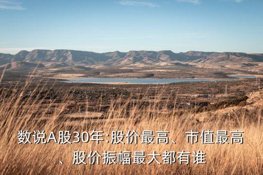 數(shù)說A股30年:股價最高、市值最高、股價振幅最大都有誰