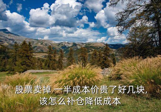  股票賣掉 一半成本價(jià)貴了好幾塊,該怎么補(bǔ)倉(cāng)降低成本