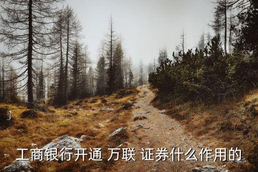 工商銀行開通 萬(wàn)聯(lián) 證券什么作用的