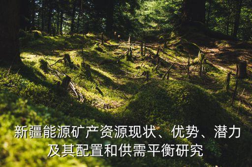  新疆能源礦產(chǎn)資源現(xiàn)狀、優(yōu)勢、潛力及其配置和供需平衡研究