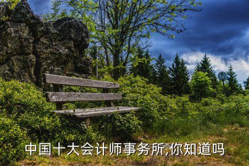 中國十大會(huì)計(jì)師事務(wù)所,你知道嗎