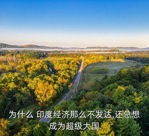 中國(guó)為什要買(mǎi)印度國(guó)債