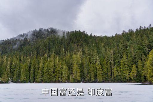 印度對(duì)比中國經(jīng)濟(jì),印度和中國經(jīng)濟(jì)世界排第幾位