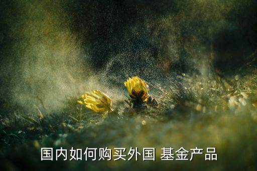 國內如何購買外國 基金產品