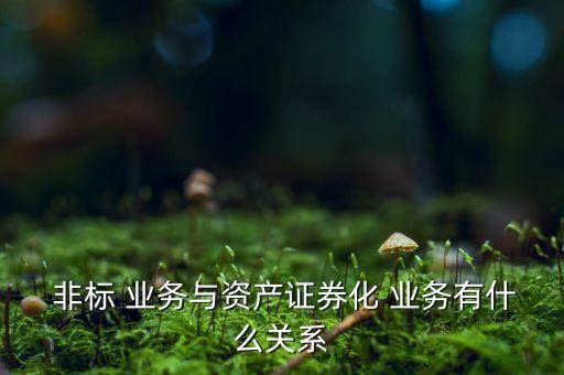 銀行非標業(yè)務(wù)涉稅,銀行維護涉稅信息業(yè)務(wù)是什么意思