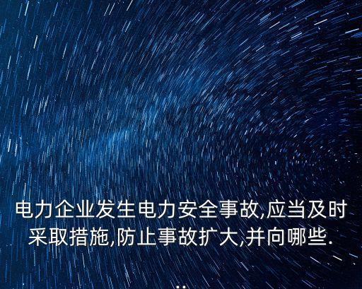國家電網(wǎng)公司2013社會責(zé)任報(bào)告