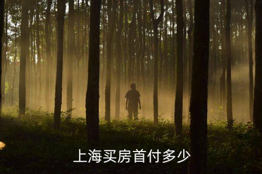 上?？捶啃枰诲X嗎