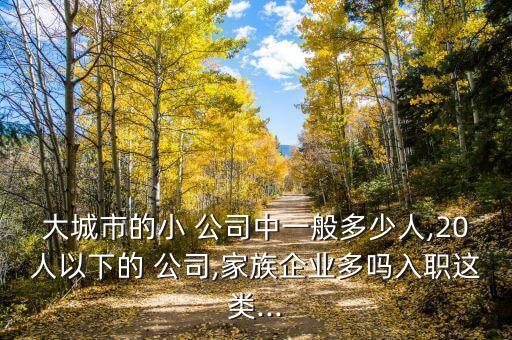人數最少的公司,最少人數的國家