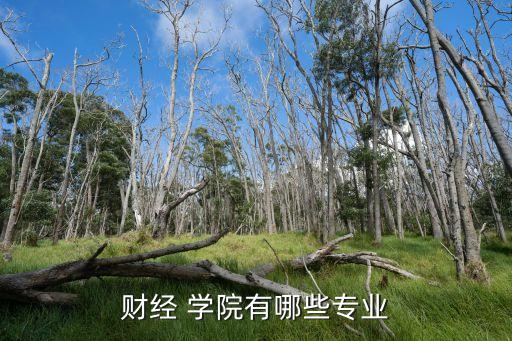 財經 學院有哪些專業(yè)