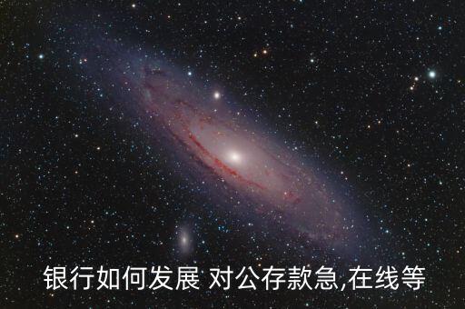  銀行如何發(fā)展 對(duì)公存款急,在線(xiàn)等