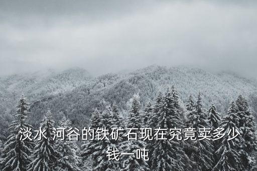 淡水河谷中國(guó)經(jīng)銷(xiāo)商