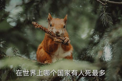 在世界上哪個(gè)國家有人死最多
