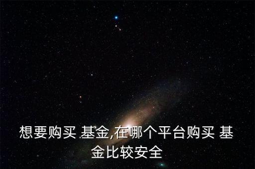 想要購買 基金,在哪個(gè)平臺購買 基金比較安全