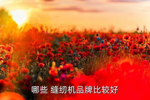 浙江捷運(yùn)勝家縫紉機(jī)有限公司,上海勝家縫紉機(jī)有限公司合資還是獨資的嗎