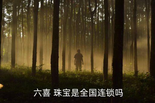 六喜珠寶有限公司,瑾喜珠寶南陽有限公司董事長(zhǎng)
