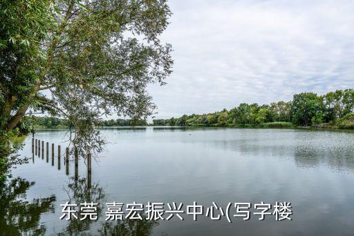 東莞 嘉宏振興中心(寫(xiě)字樓