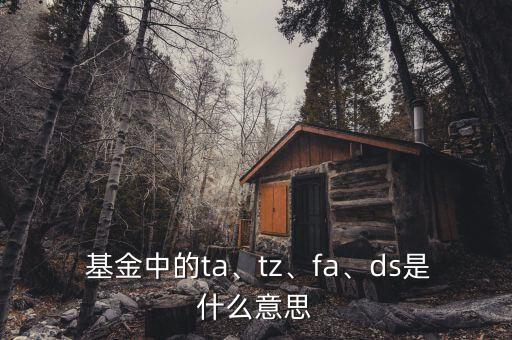  基金中的ta、tz、fa、ds是什么意思