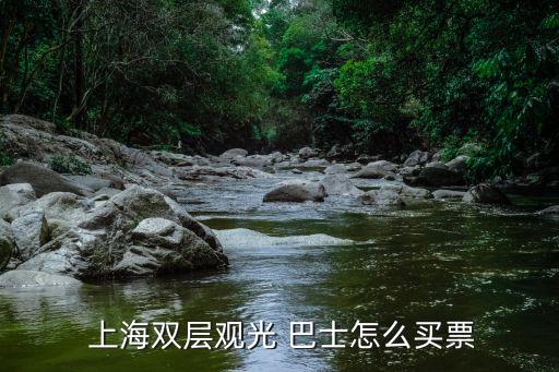  上海雙層觀(guān)光 巴士怎么買(mǎi)票