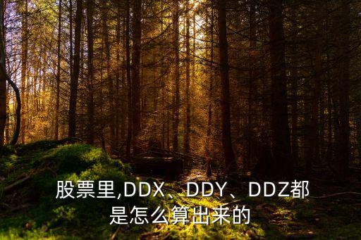  股票里,DDX、DDY、DDZ都是怎么算出來的